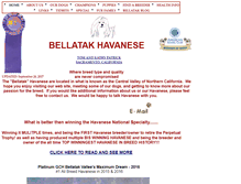 Tablet Screenshot of bellahavanese.com